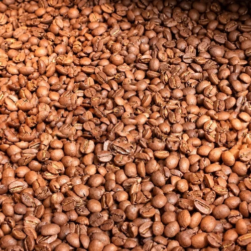 Robusta Coffee